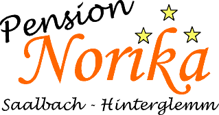 Pension Norika - Apartments Saalbach Direct booking logo